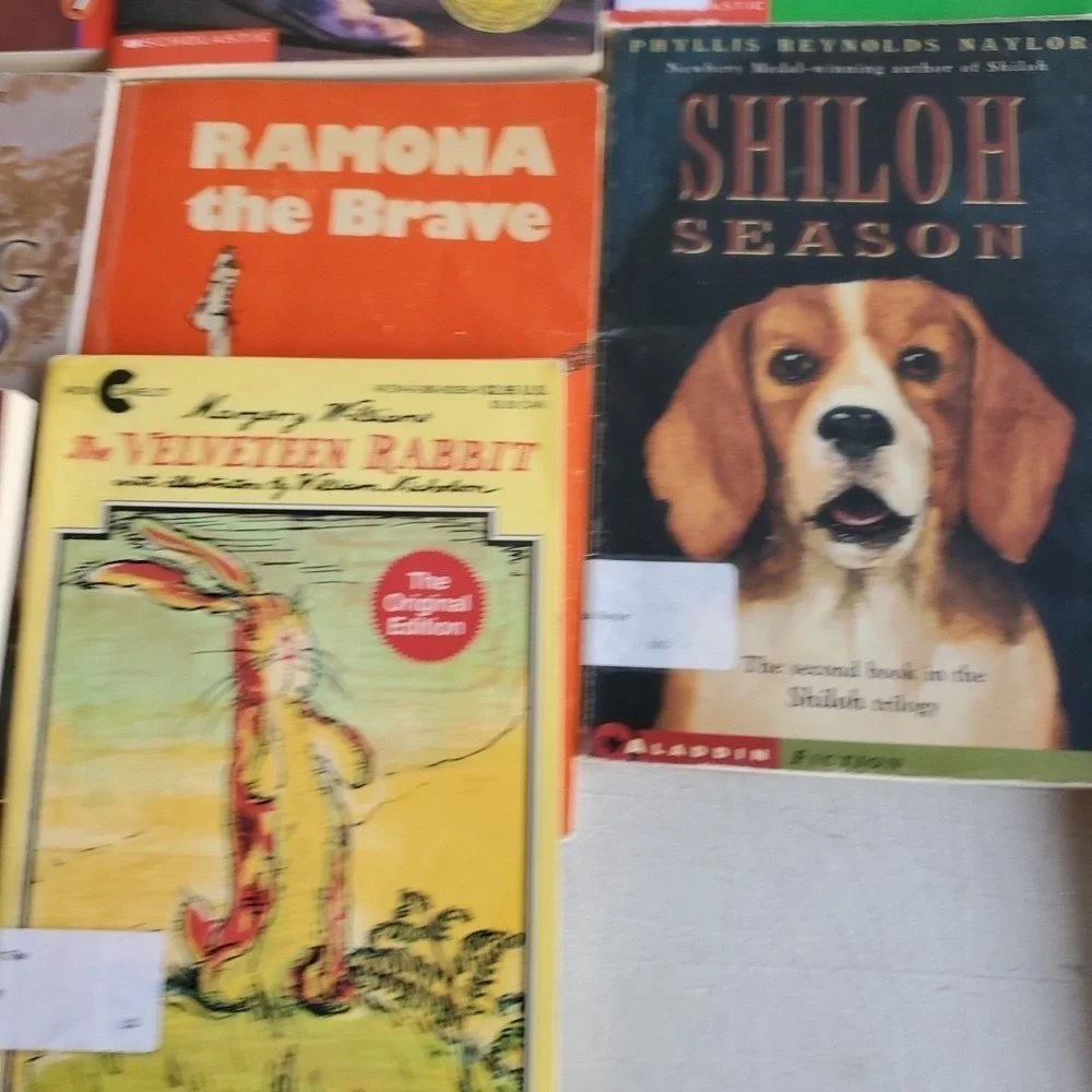 Lot of 33 Misc Titles  Gr 4-5 Leveled Reader Books Homeschool Classroom Tutor